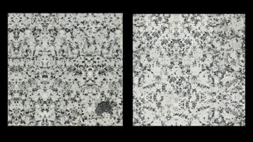 Гранит Пи Вайт (P-White) (Индия)