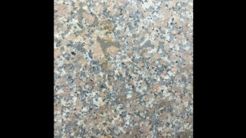 Гранит Чеема Пинк (Индия)